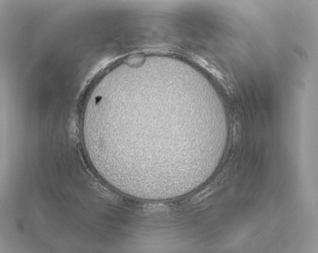 X0000115641454200912081054