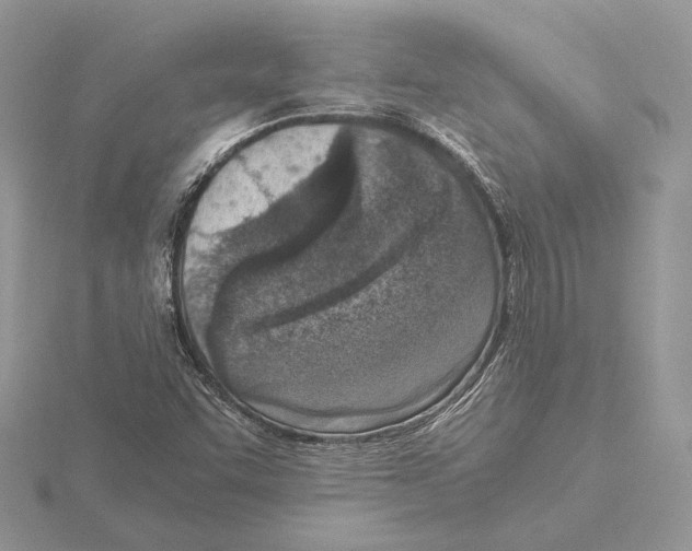 X0000115641455200912081054