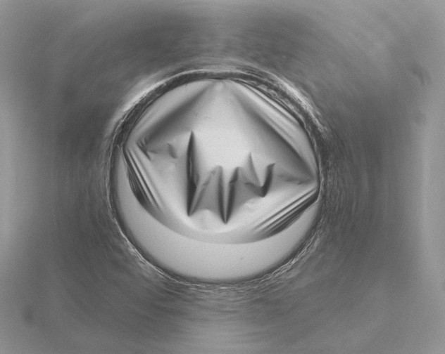 X0000115641456200912081054