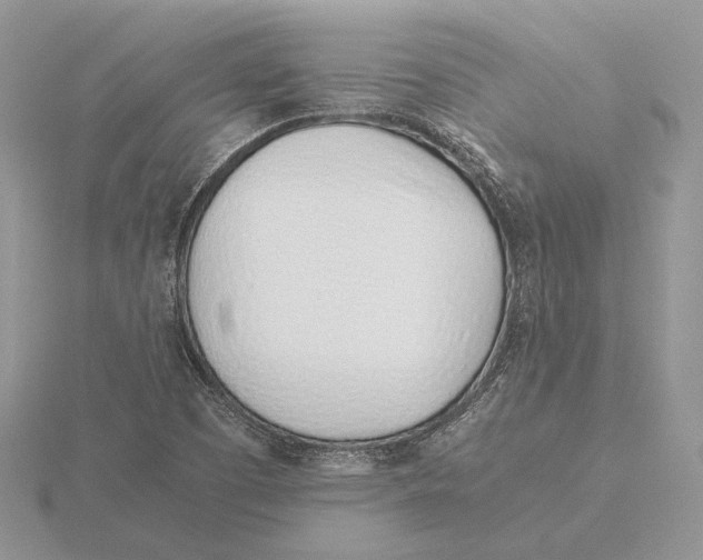 X0000115641457200912081054