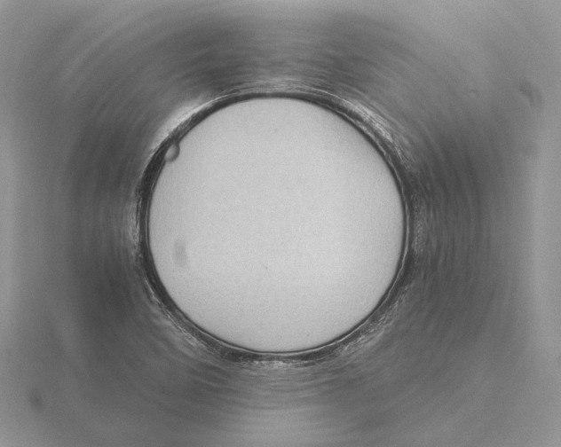X0000115641458200912081054