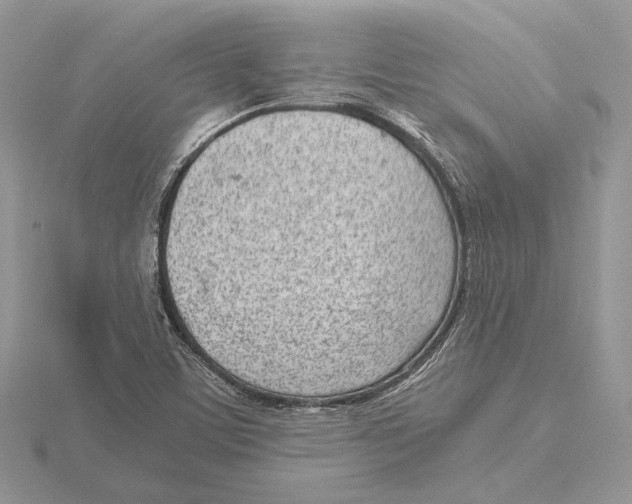 X0000115641459200912081054