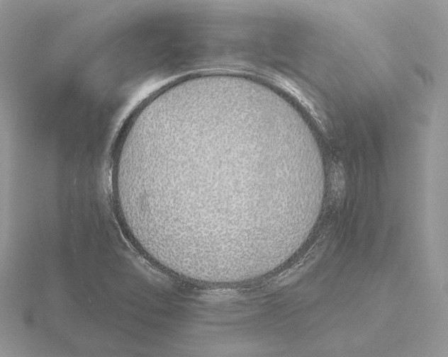 X0000115641462200912081054