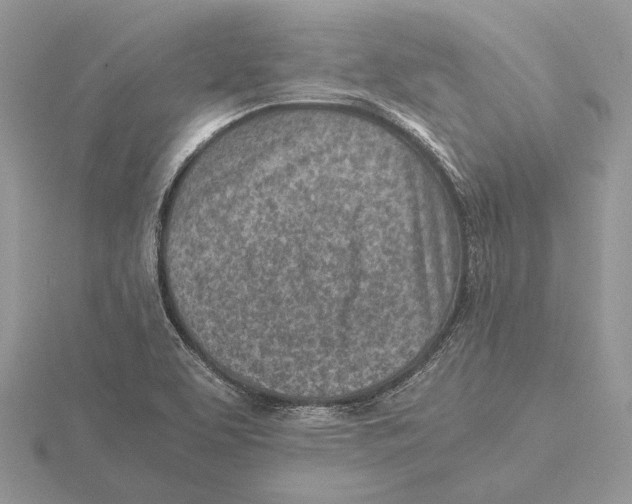 X0000115641463200912081054