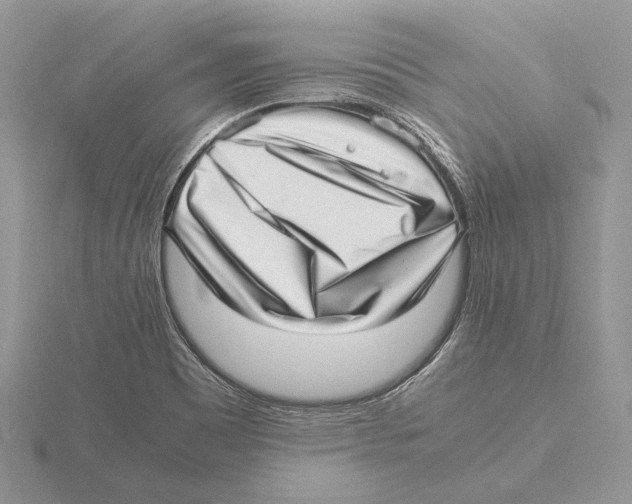 X0000115641465200912081054