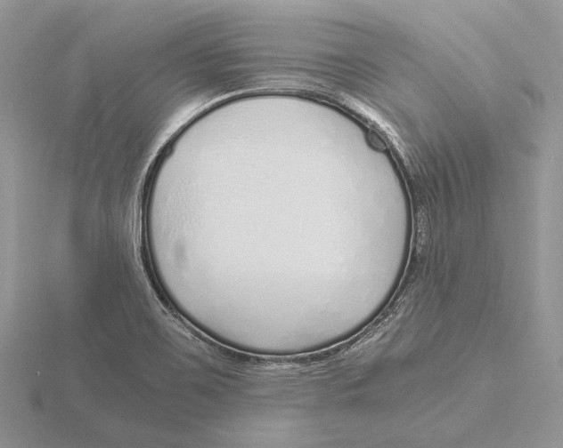 X0000115641467200912081054