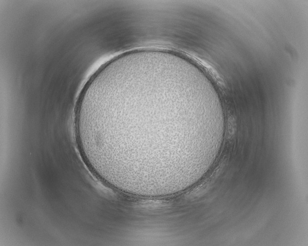 X0000115641470200912081054