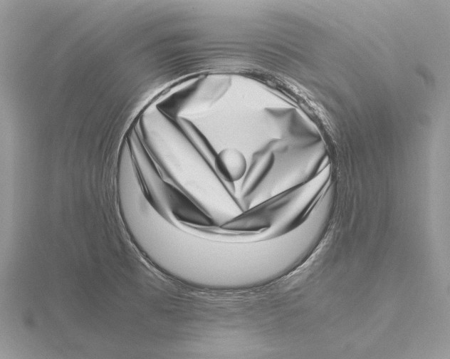 X0000115641473200912081054