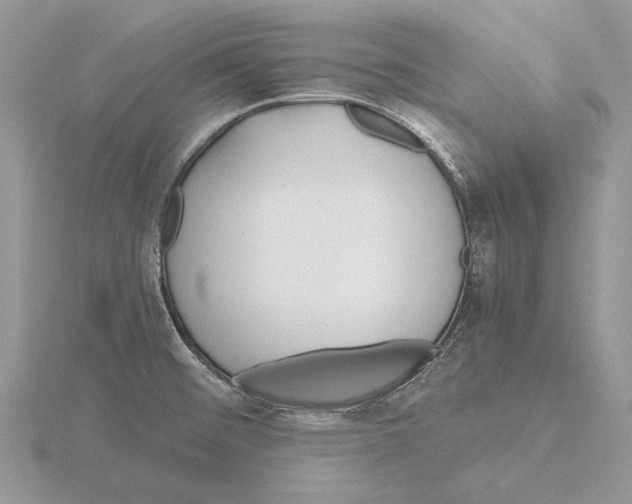 X0000115641476200912081054