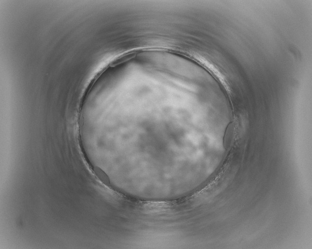 X0000115641477200912081054