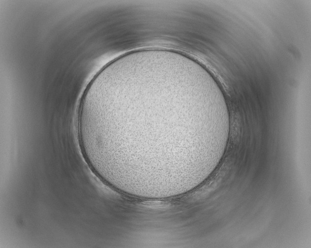 X0000115641478200912081054