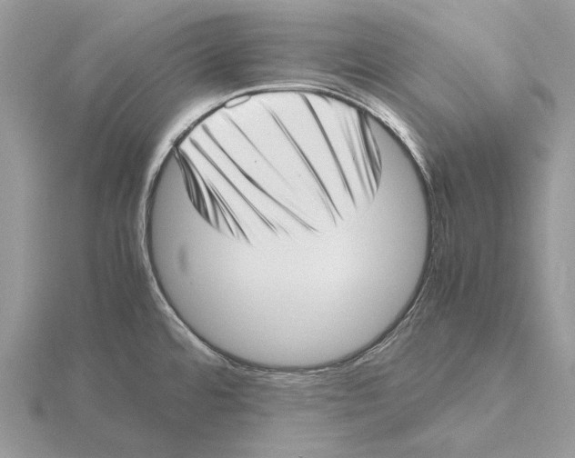 X0000115641480200912081054