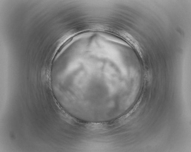 X0000115641481200912081054