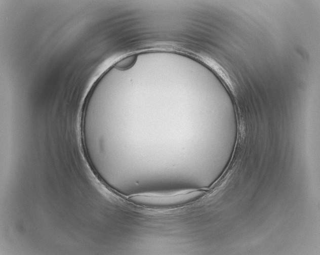 X0000115641482200912081054