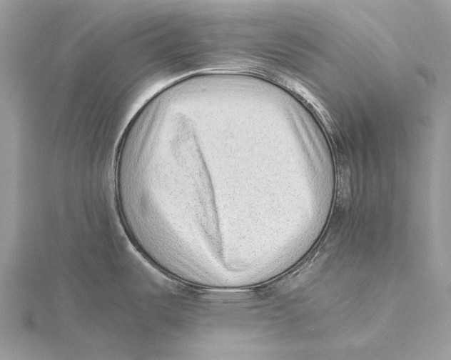 X0000115641487200912081054