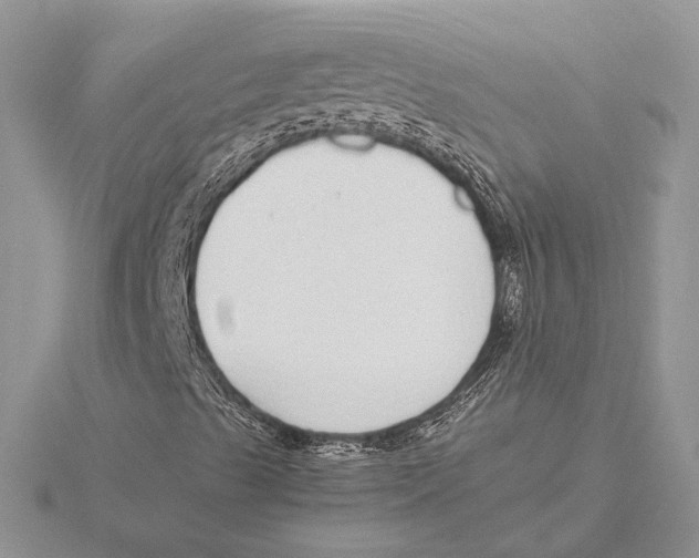 X0000115641489200912081053
