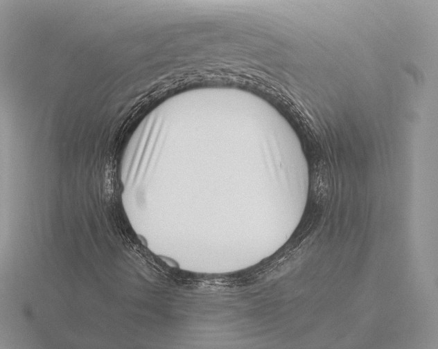 X0000115641490200912081053