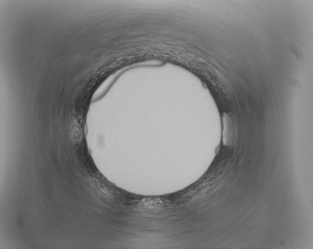 X0000115641491200912081053