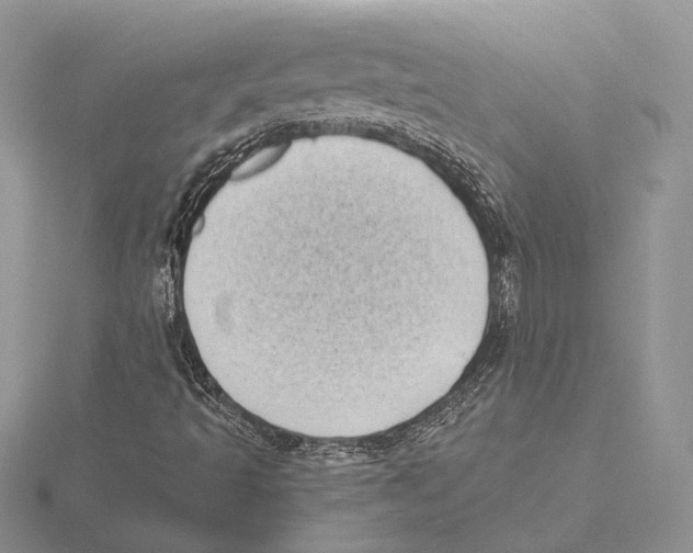X0000115641493200912081053