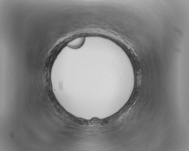 X0000115641494200912081053