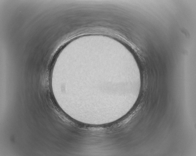 X0000115641498200912081053