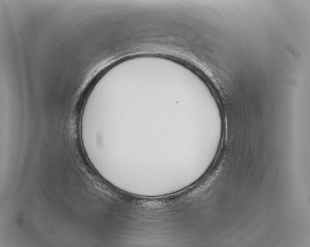 X0000115641501200912081053