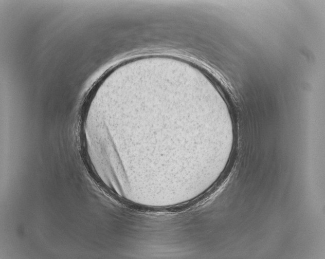 X0000115641502200912081053
