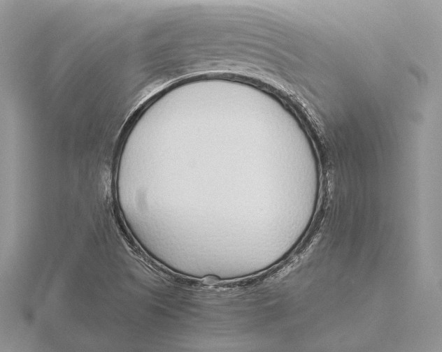 X0000115641505200912081053