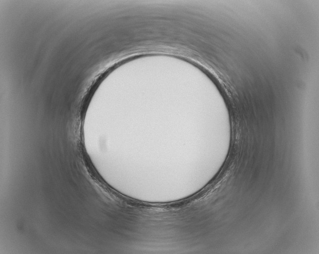 X0000115641507200912081053