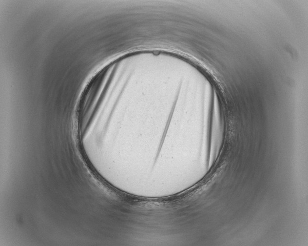 X0000115641517200912081054