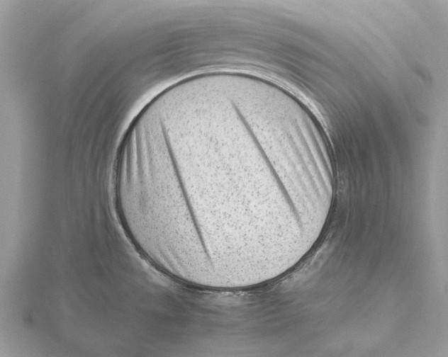 X0000115641533200912081054