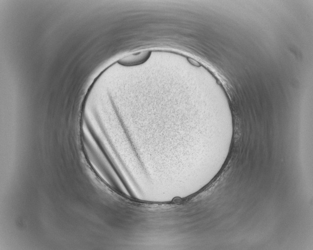 X0000115641534200912081054