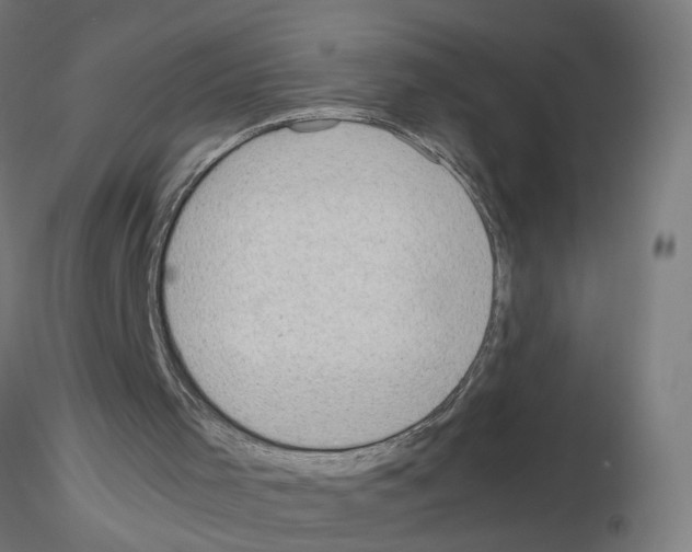 X0000115640001200912221320