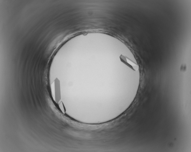 X0000115640002200912221320