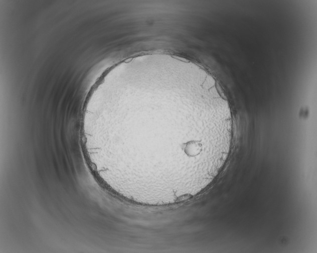 X0000115640003200912221320