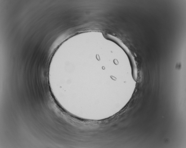 X0000115640004200912221320