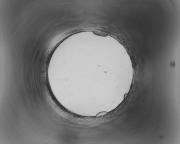 X0000115640005200912221320