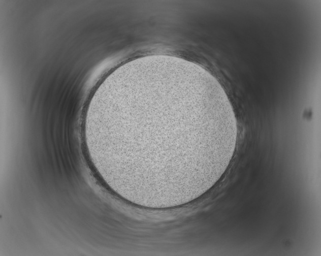 X0000115640006200912221320