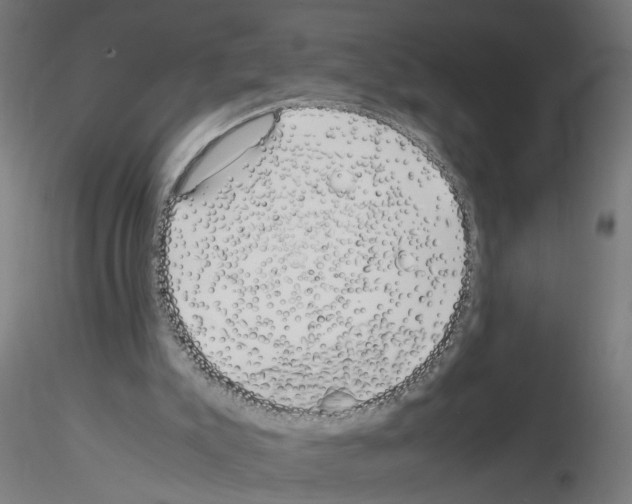 X0000115640007200912221320