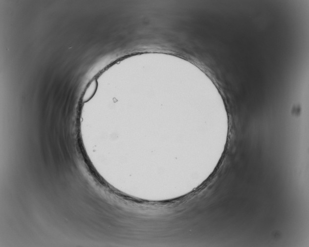 X0000115640008200912221320