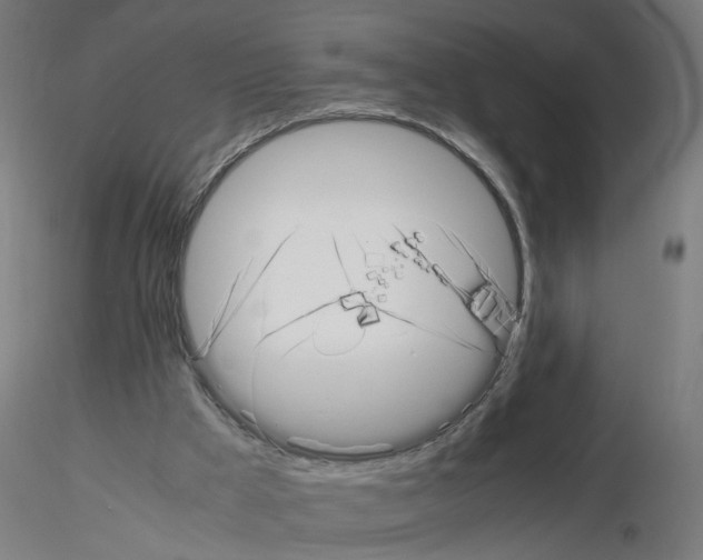 X0000115640009200912221320