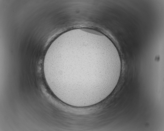X0000115640010200912221320