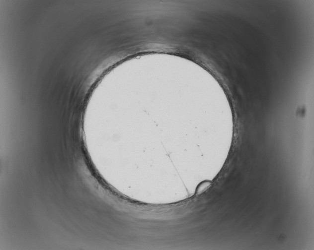 X0000115640011200912221320