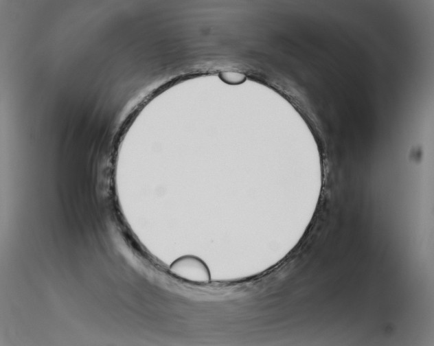 X0000115640012200912221320