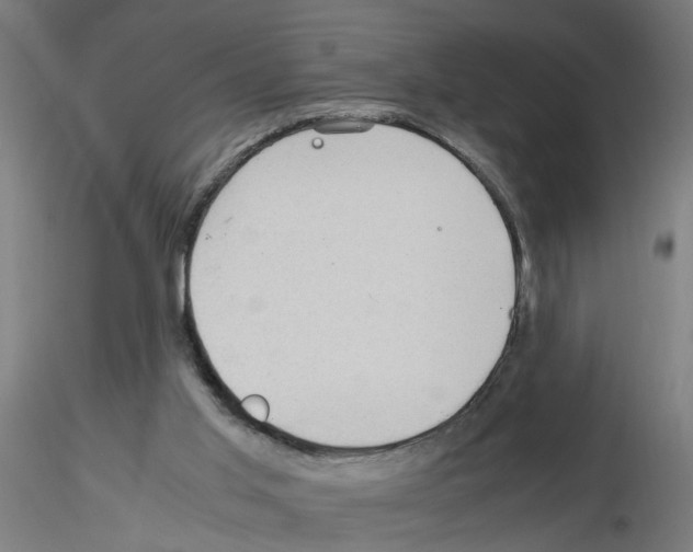 X0000115640013200912221320