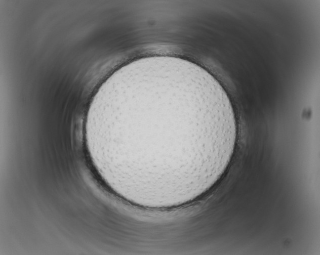 X0000115640014200912221320