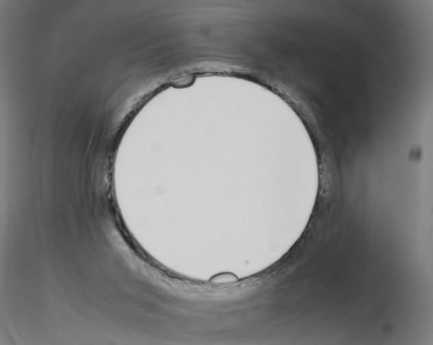 X0000115640015200912221319
