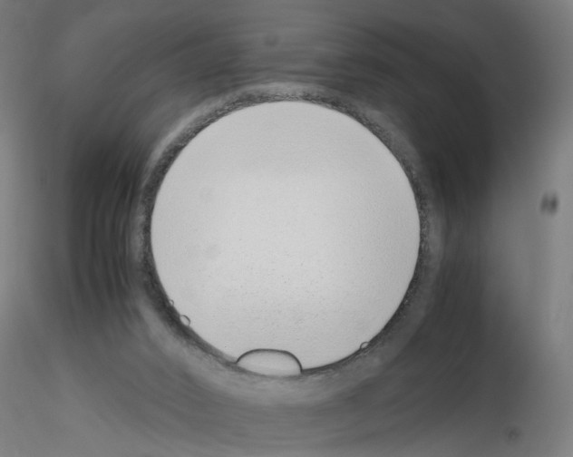 X0000115640016200912221319