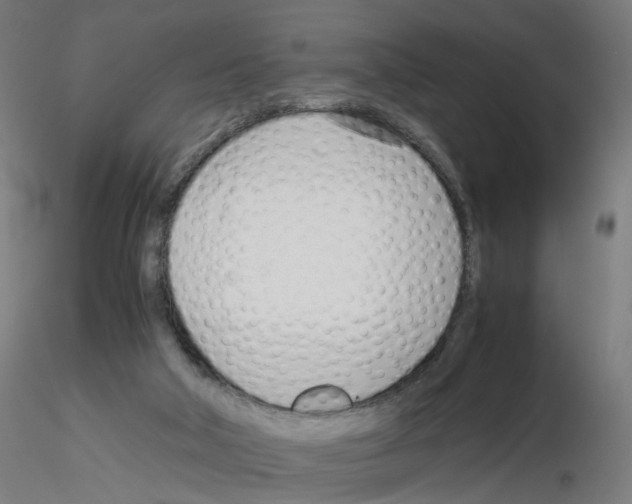 X0000115640018200912221319