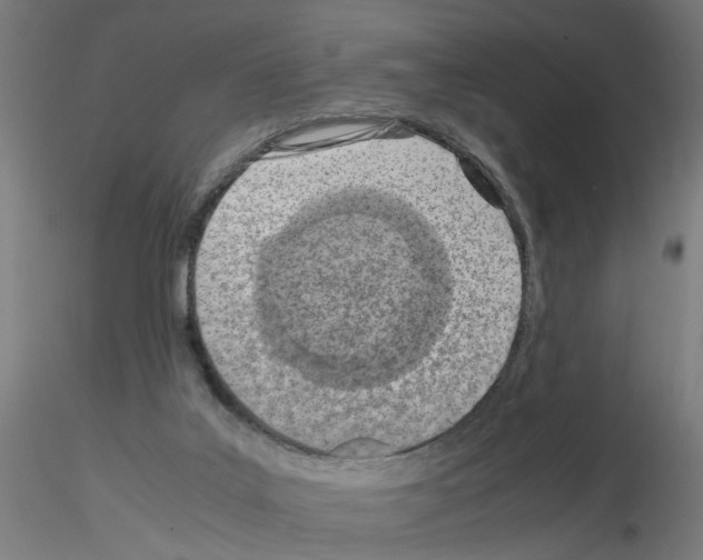 X0000115640019200912221319